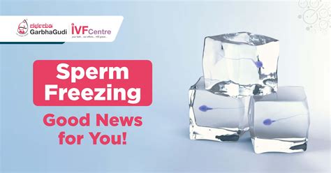 can you freeze baby sperm.